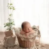 ニューボーンフォト_籠の中で眠る赤ちゃん