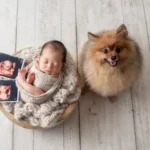 ニューボーンフォト_エコー写真と一緒に並ぶ新生児と犬のツーショット