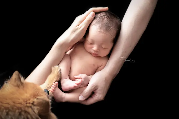 ニューボーンフォト_黒背景で家族と犬に包まれる新生児