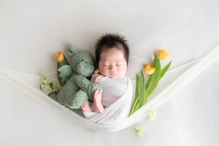 ニューボンフォト_花のハンモックでウサギを抱く新生児